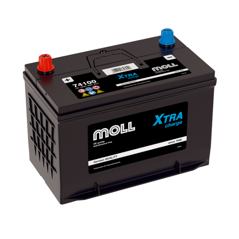 фото Аккумулятор MOLL XTRA CHARGE  100 обр (D31L, 74100)