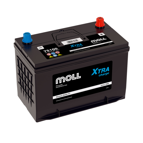 фото Аккумулятор MOLL XTRA CHARGE  100 пр (D31R, 75100)