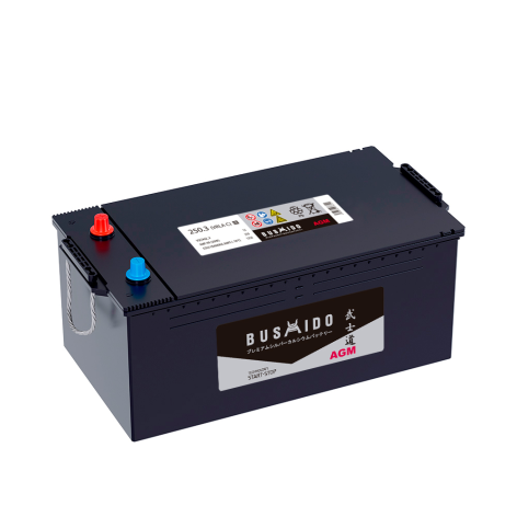 фото BUSHIDO AGM   250 обр (C.3)