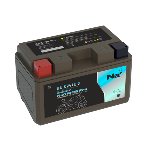 фото Мото BUSHIDO NaCR10S pro (YTZ10S, 9Ah) пр