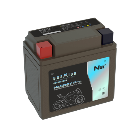 фото Мото BUSHIDO NaCR9Y pro (YB9-BS, 9Ah) пр