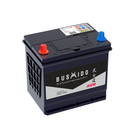 фото BUSHIDO AGM  65 пр (D23R)