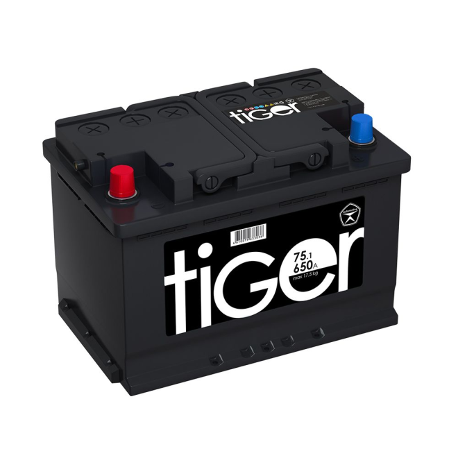 Аккумулятор TIGER 75 пр (L3.1, Черный, AK)