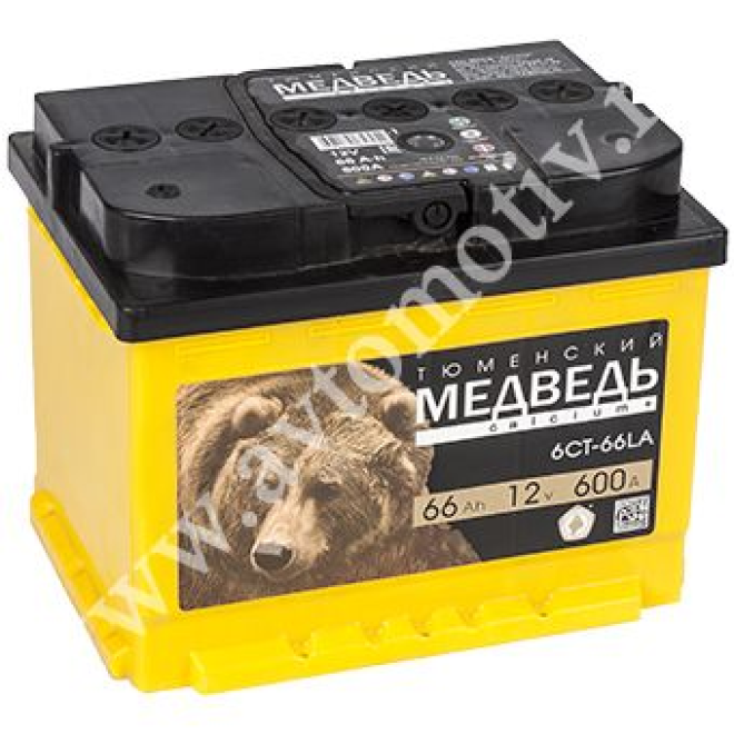 Тюменский Медведь 66.1