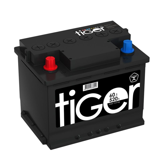 Аккумулятор TIGER 60 пр (L2.1, Черный, AK)