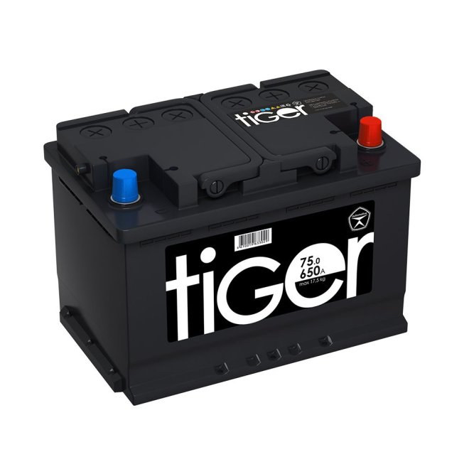 Аккумулятор TIGER 75 обр (L3.0, Черный, AK)
