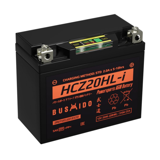 Мото BUSHIDO HCZ20HL-i (22Ah)