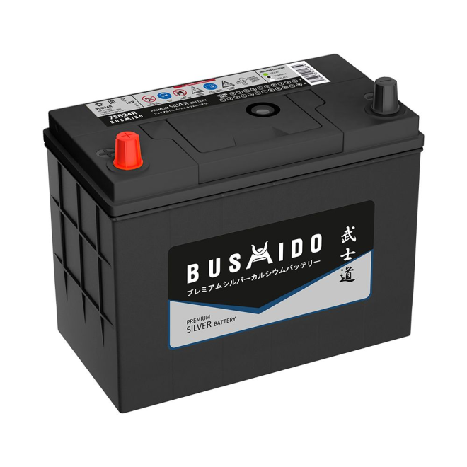 Аккумулятор BUSHIDO Silver  59 пр (75B24R, серый, AT)