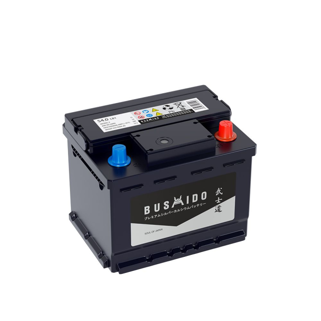 Аккумулятор BUSHIDO SJ 54 обр (LB1.0, низк, CA)