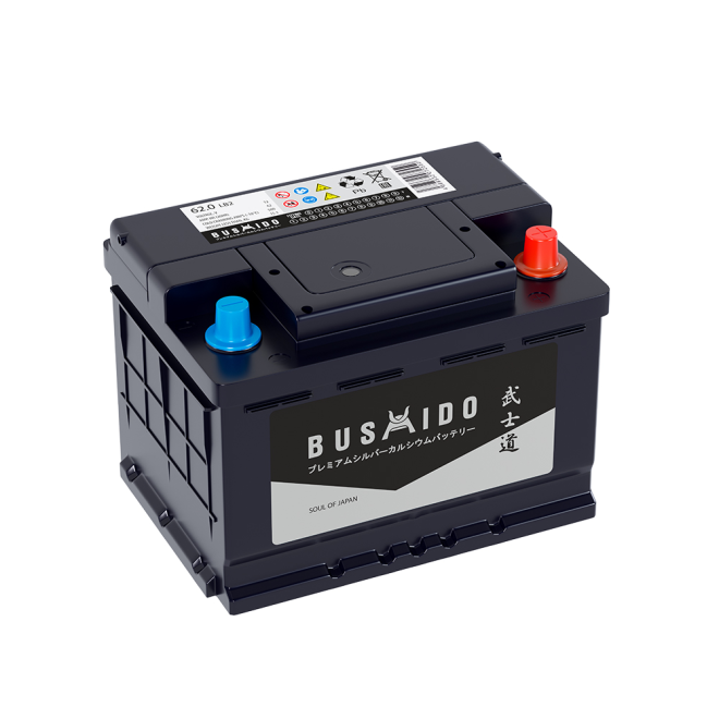Аккумулятор BUSHIDO SJ 63 обр (LB2.0, низк, HO)