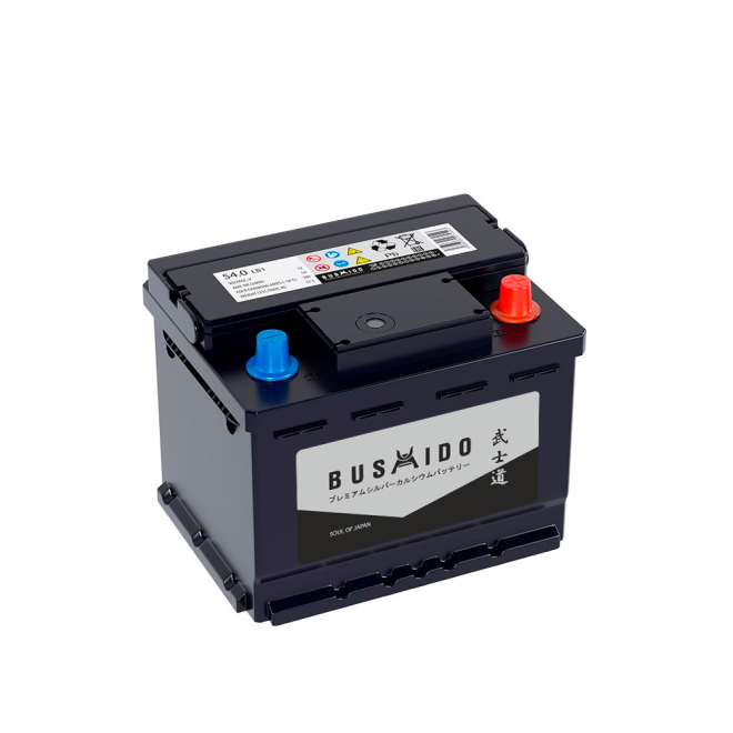 Аккумулятор BUSHIDO SJ 54 обр (LB1.0, низк, CA)