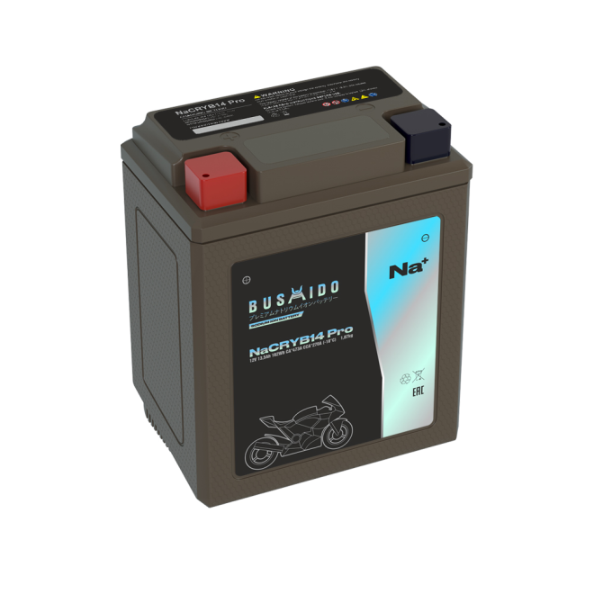 Мото BUSHIDO NaCRYB14 pro (YTX14AH-BS, 13,5Ah) пр