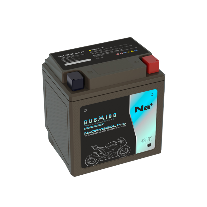 Мото BUSHIDO NaCRYB30L pro (YB30L-BS, 22,5Ah) обр