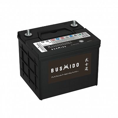 Автомобильный аккумулятор BUSHIDO 58.1 L1 (26-550) фото 401x401