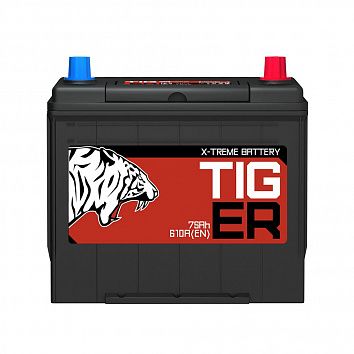 TIGER  65 (75D23L, Красный, KN) фото 354x354