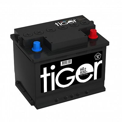 Автомобильный аккумулятор Tiger Аком 60.0 обр. фото 401x401