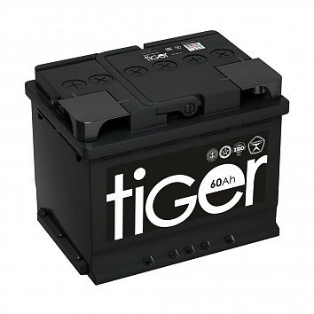 Tiger (Рязань) 60.1 фото 354x354